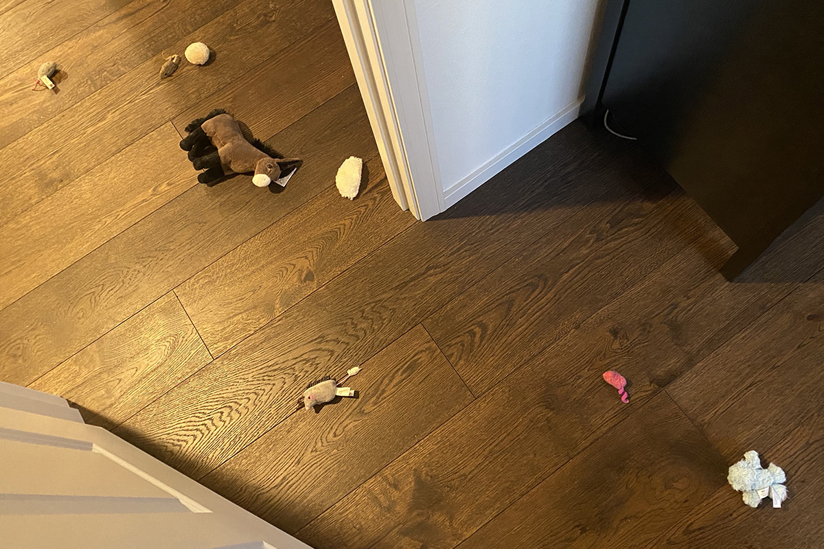 A bunch of toys strewn through the entrance to my bedroom.