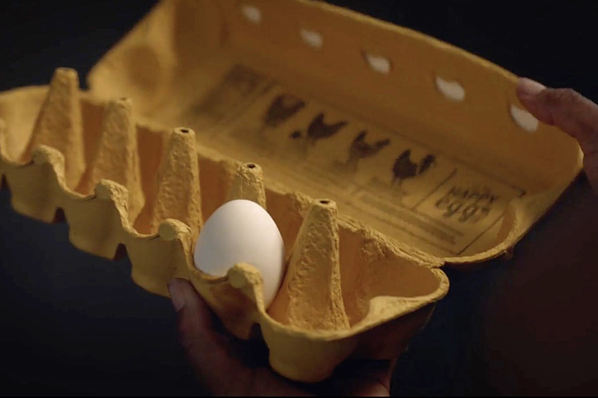 A carton of eggs, with only one egg remaining... a still from the finale of Watchmen.