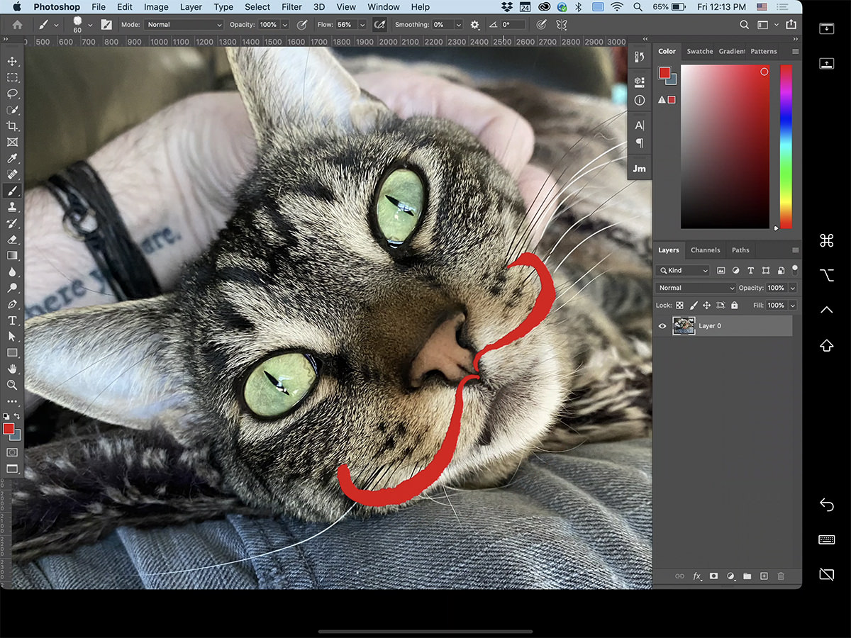 Photoshop running from my MacBook Pro on my iPad screen... it's a photo of Jake the Cat with a mustache drawn on him illustrating the pressure sensitivity.