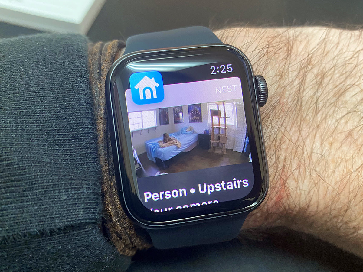 My Apple Watch on my wrist showing an alert from my NestCam that there's a person in my bedroom... except it's actually Jake my cat.