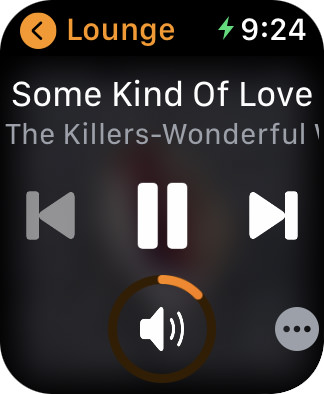 Lyd for Apple Watch showing track controls and volume while the song SOME KIND OF LOVE by The Killers is playing!