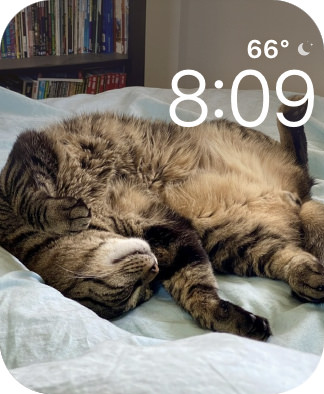 A photo of Jake my cat as a watch face.