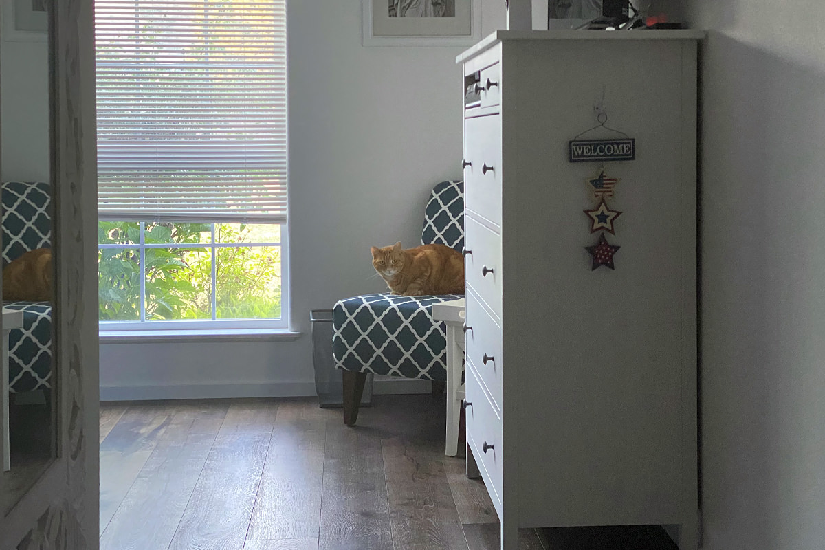 Jenny sitting on the guest room chair.