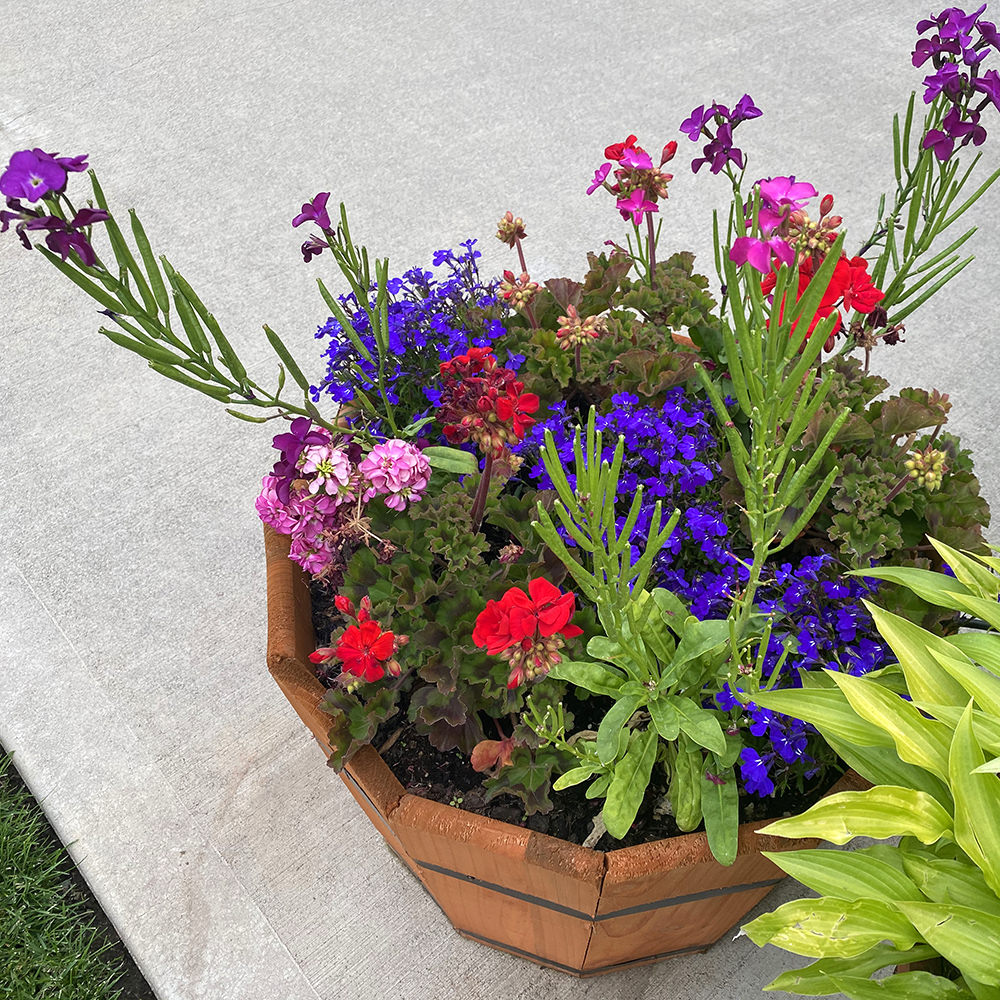 A planter filled with a variety of different flowering plants in a bunch of different colors.