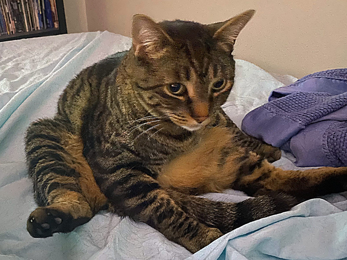 Jake sitting up after giving his belly a bath.