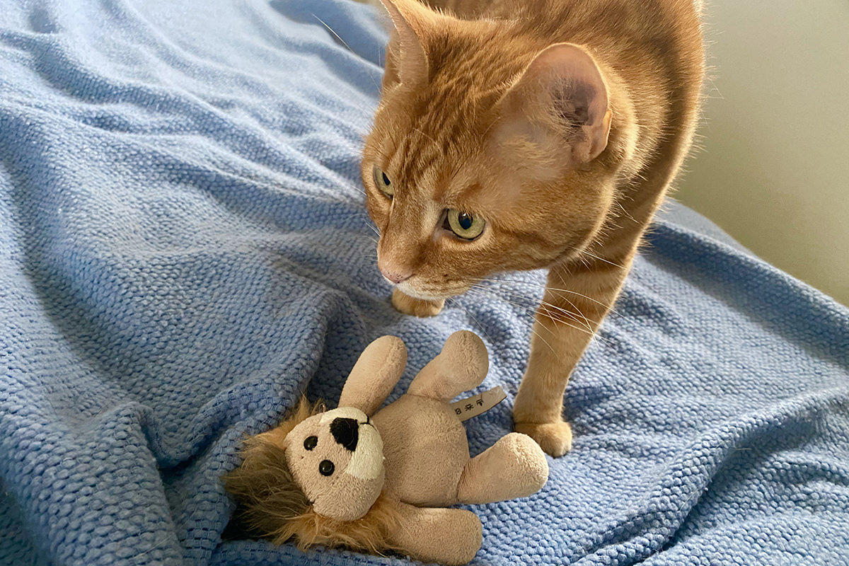 Jenny wandering up to grab Mufasa from my care.