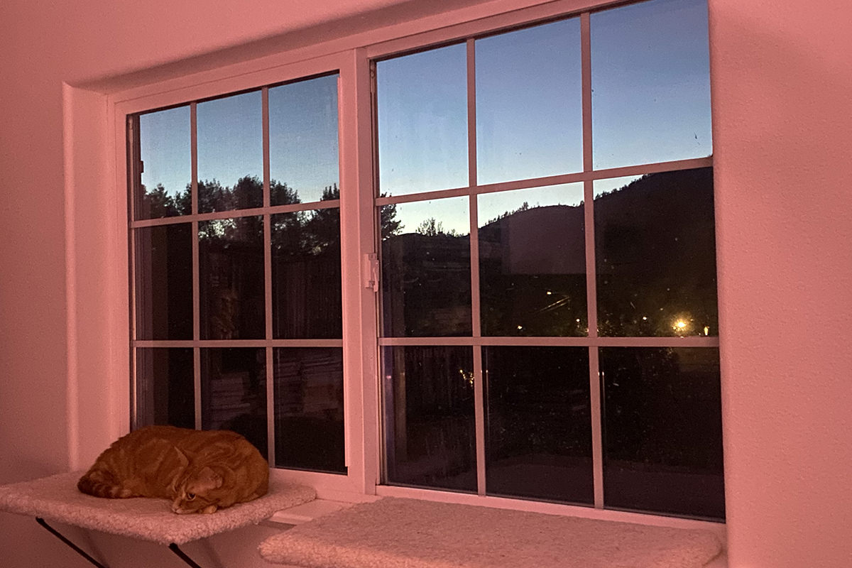 My bedroom window at dusk.