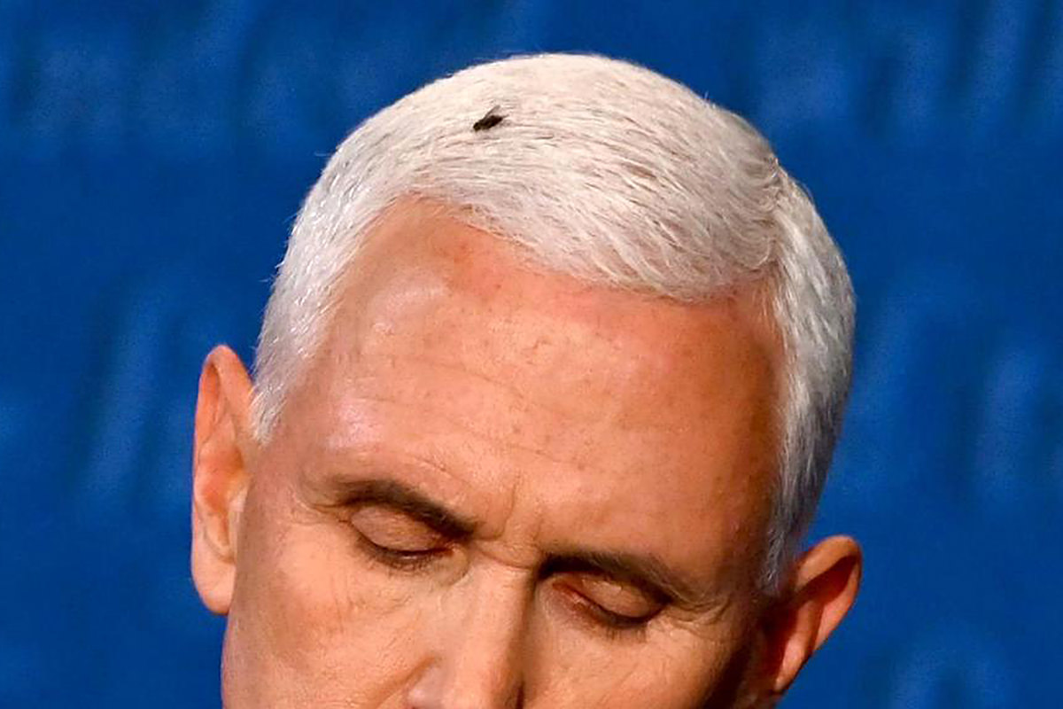 A fly on Pence's head!