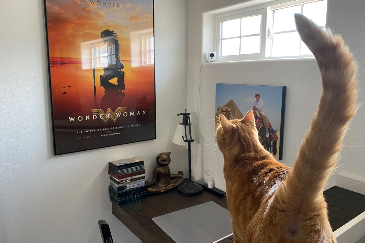 Jenny staring at a Wonder Woman poster.