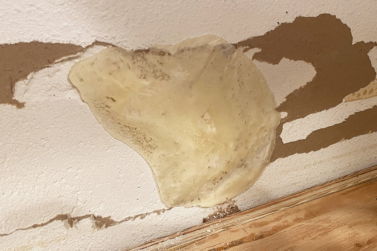 Foam perfectly patched in my wall holes.