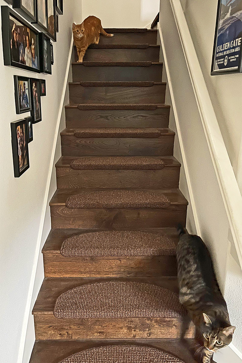 Jake and Jenny running down the stairs.