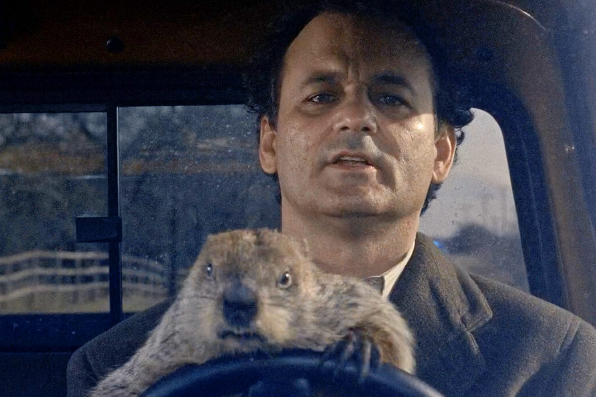 Bill Marray in a truck with a groundhog that's hanging onto the wheel looking angry.