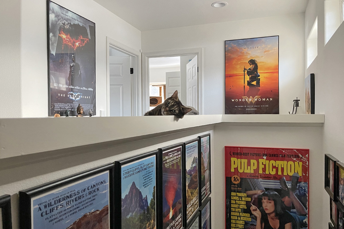 Jake looking at me from the ledge as he lays there looking lazy... my Marvel movie posters are on the walls.