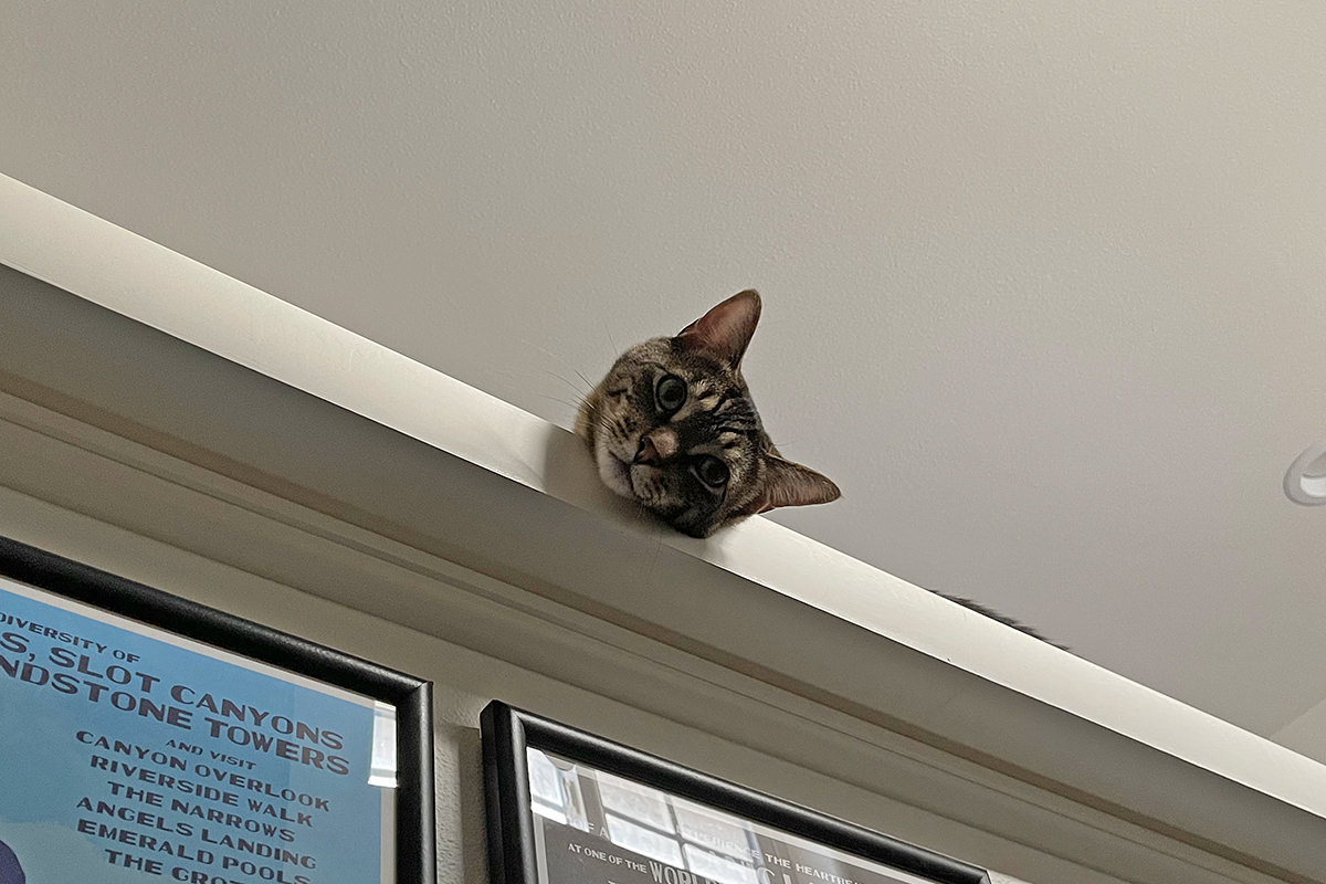 Jake looking down at me from the ledge as I go down the stairs.