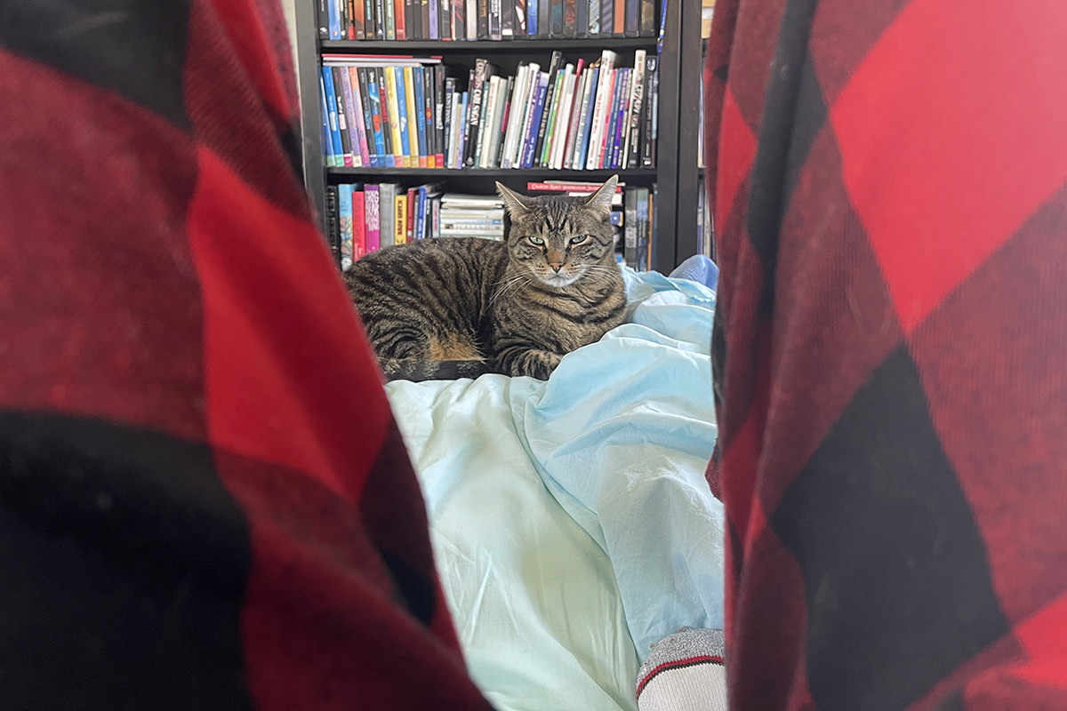 Jake at the end of my bed glaring at me.