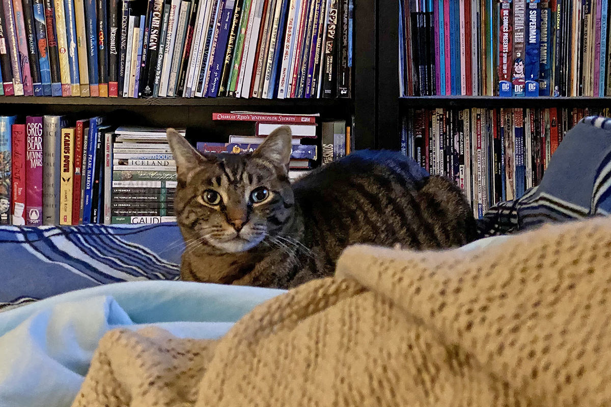 Jake at the end of my bed staring at me.