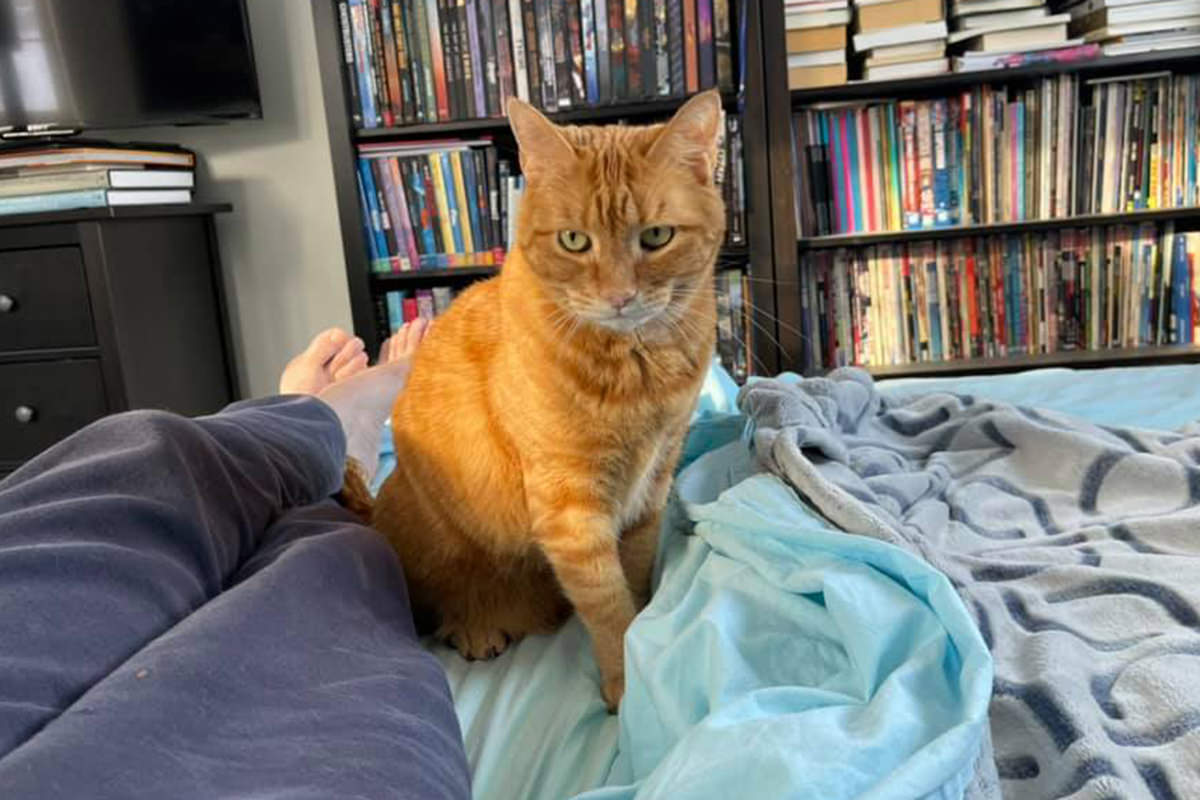 Jenny at the end of my bed.