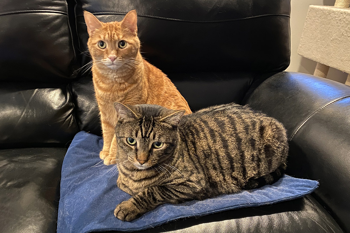 Jake and Jenny on a single warming mat.