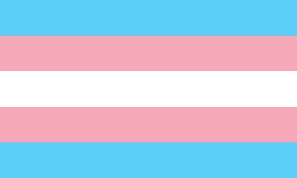 Trans Pride Flag... with blue, pink, white, pink, and blue stripes.