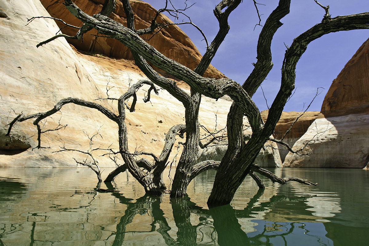 Lake Powell