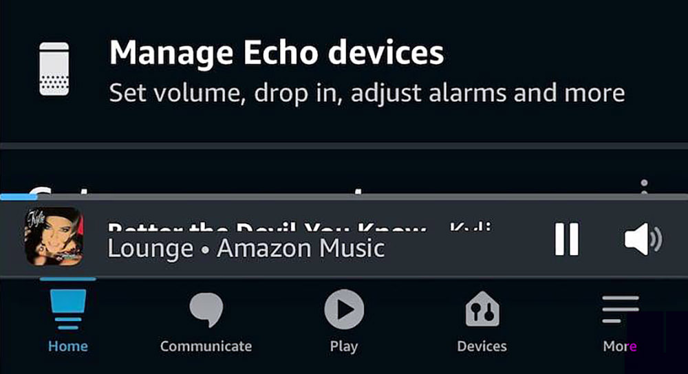 Echo displays an incomprehensible mishmash of chopped text to show what's playing.