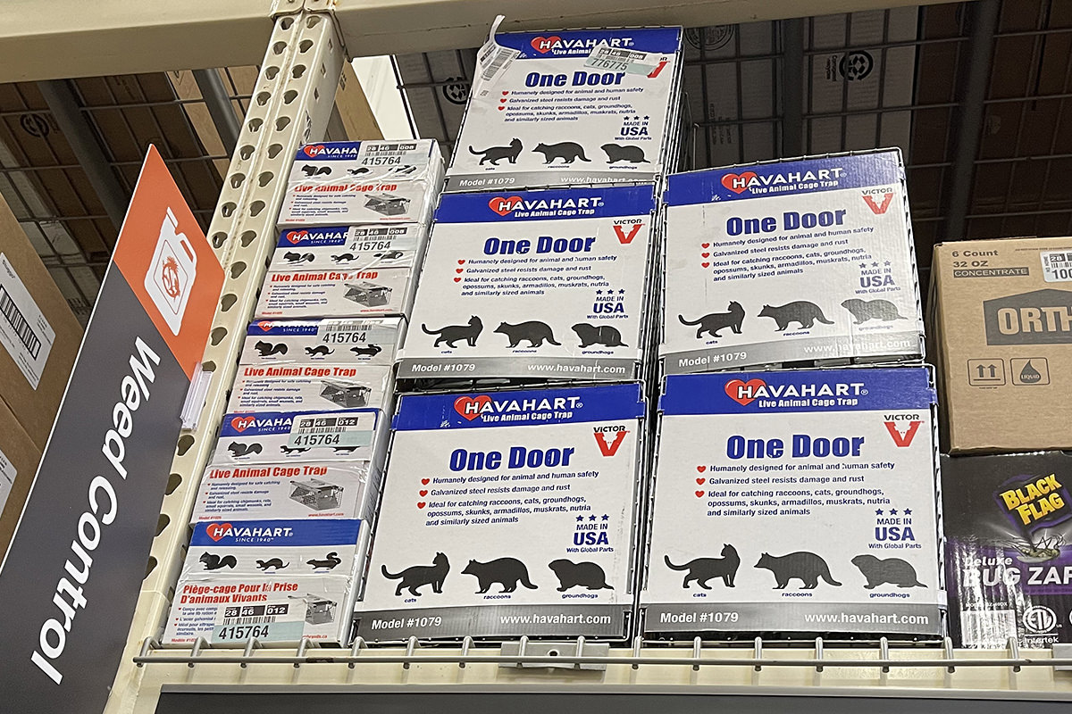 A stack of animal traps on the shelf at Home Depot.