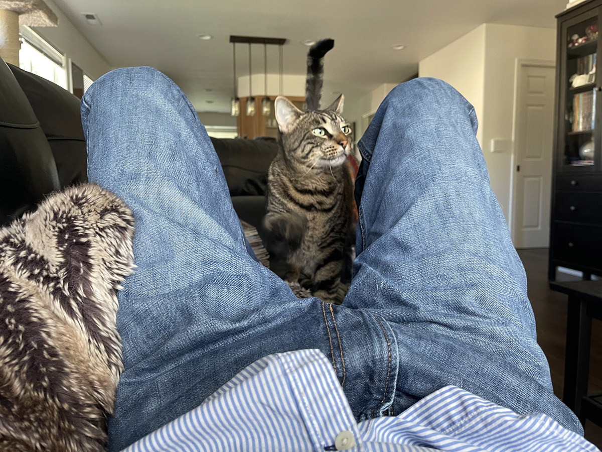 Jake crawling through my legs on the couch... getting closer and closer until he's in my face!