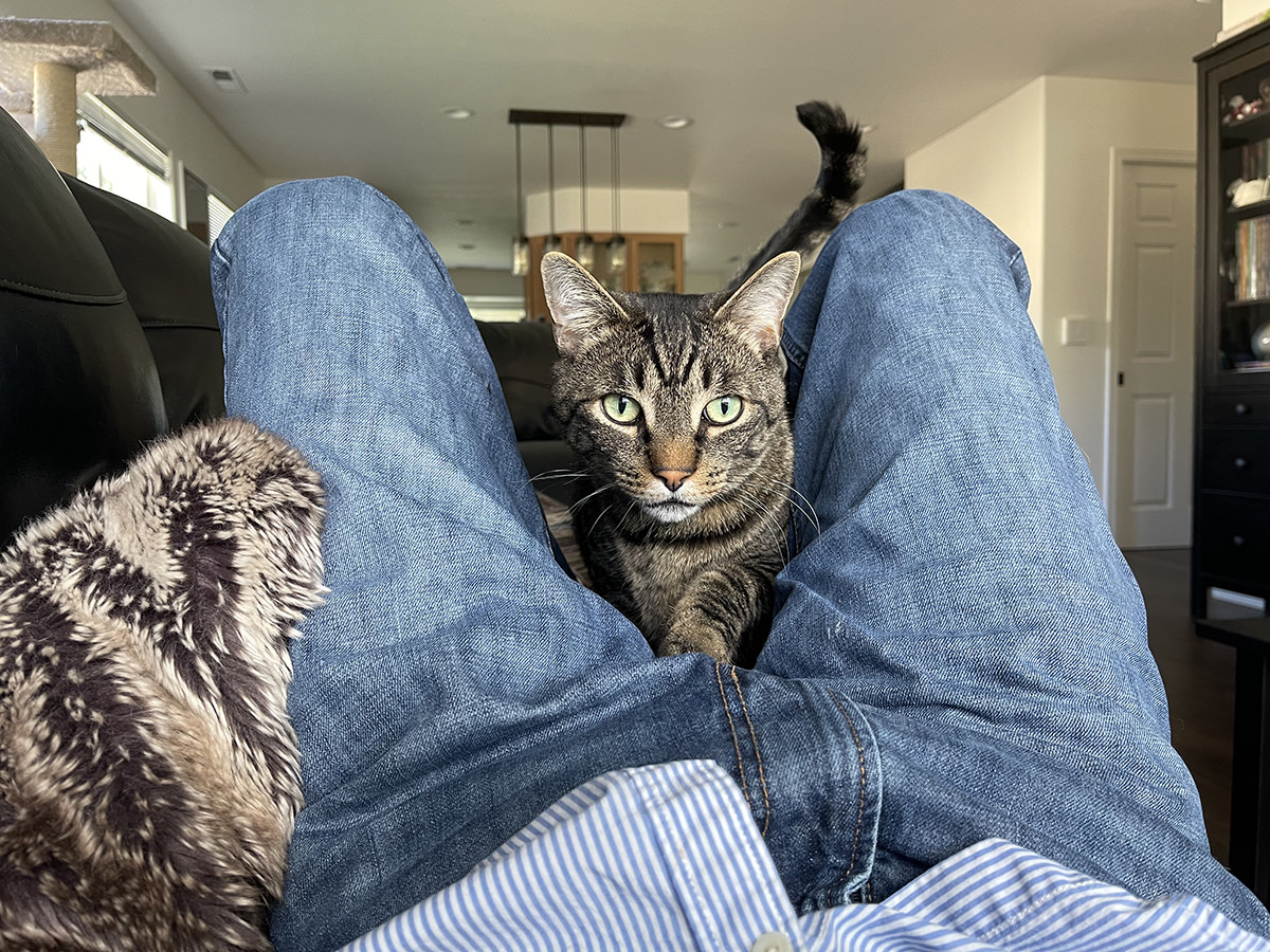 Jake crawling through my legs on the couch... getting closer and closer until he's in my face!