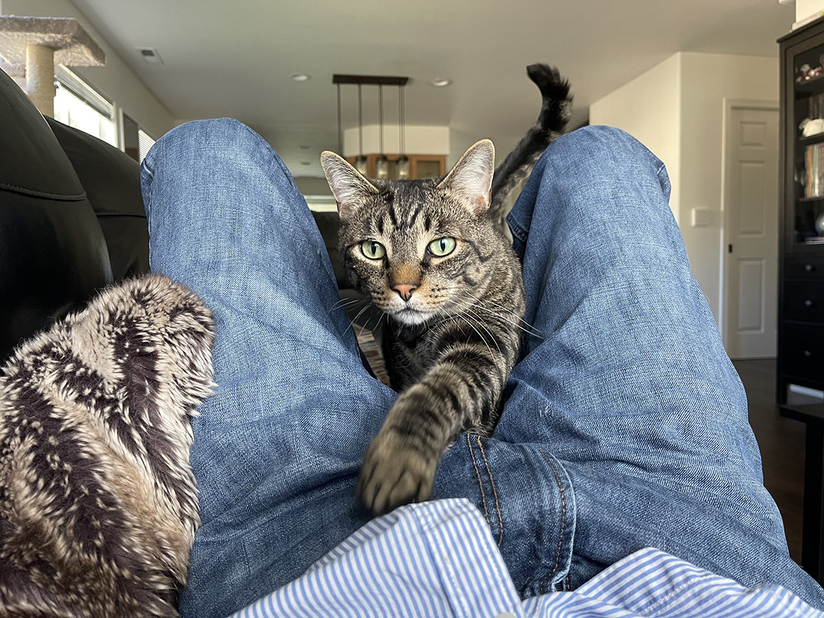 Jake crawling through my legs on the couch... getting closer and closer until he's in my face!