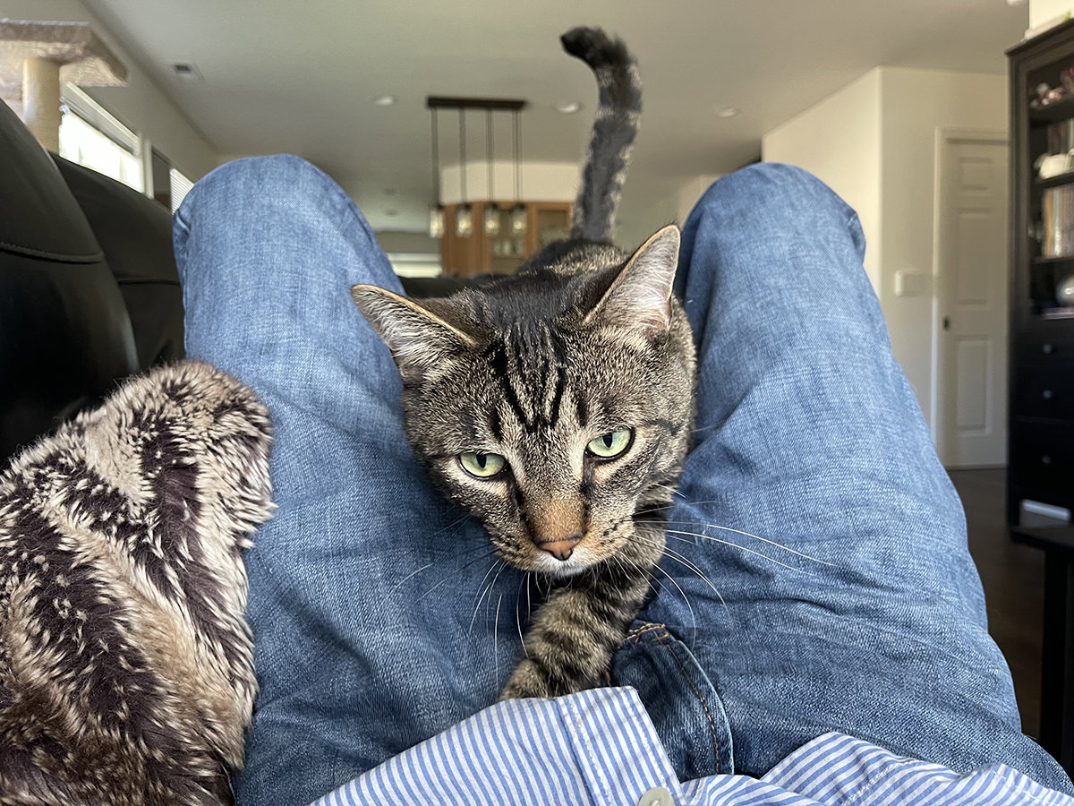 Jake crawling through my legs on the couch... getting closer and closer until he's in my face!