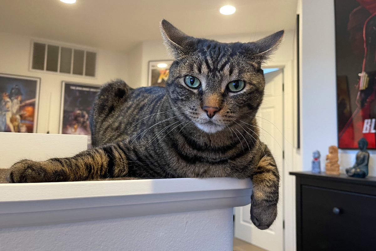 Jake looking down at me from the ledge as I go down the stairs.