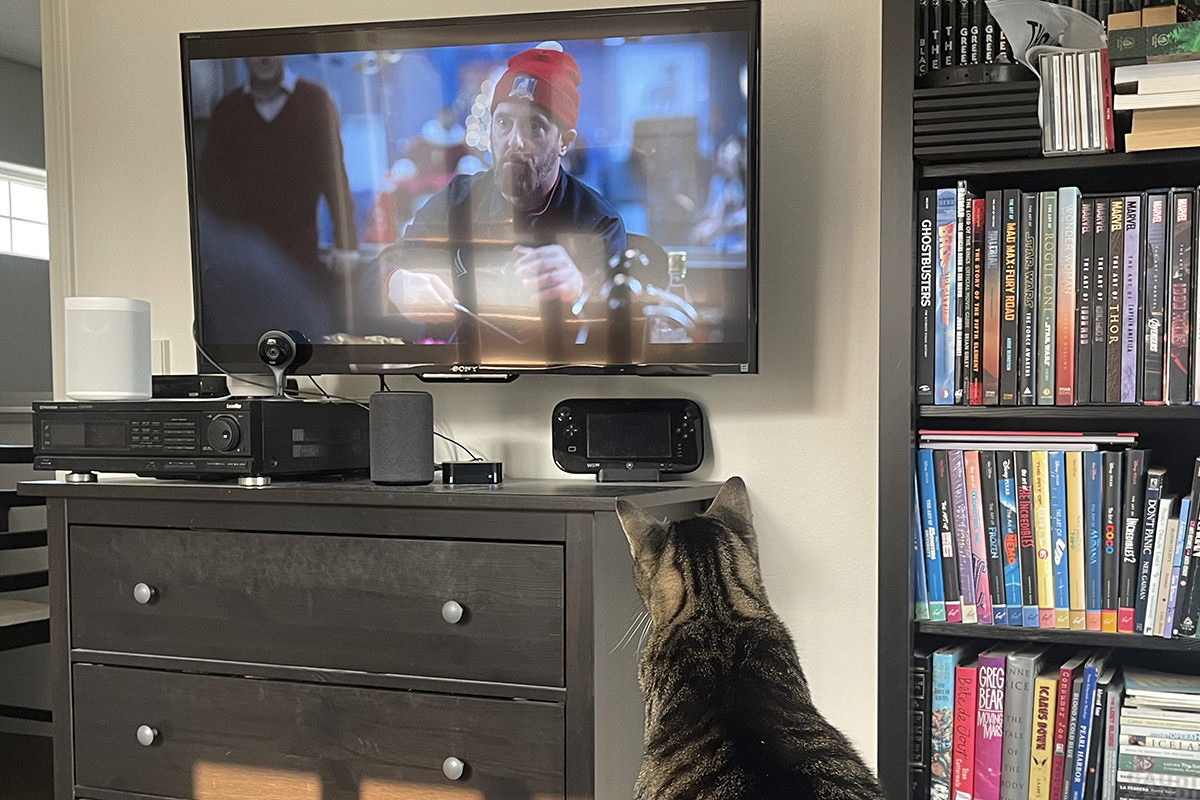 Jake watching Ted Lasso on my bedroom TV.