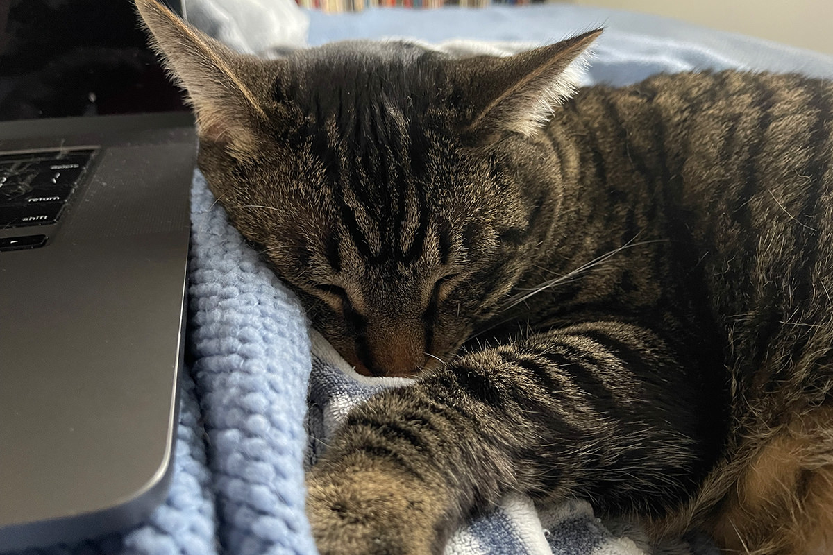 Jake crashed on the bed.