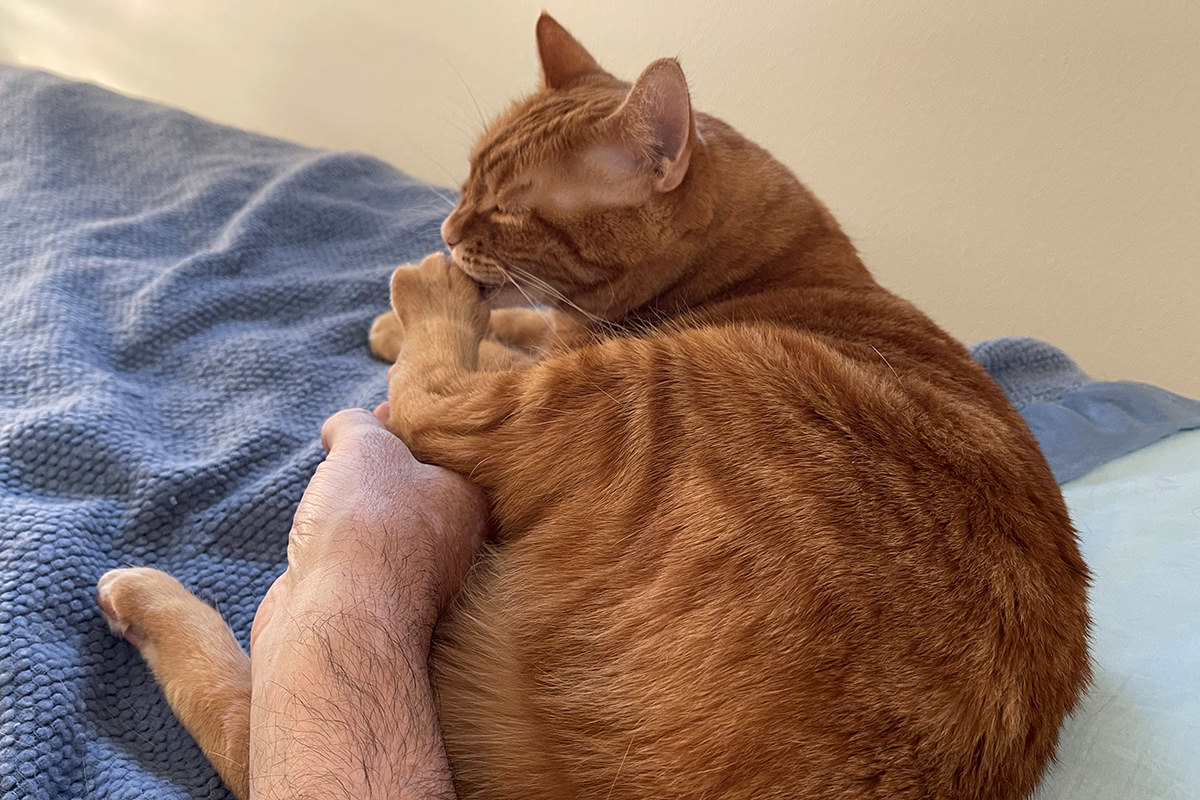 Jenny trimming her nails with a little help for me.