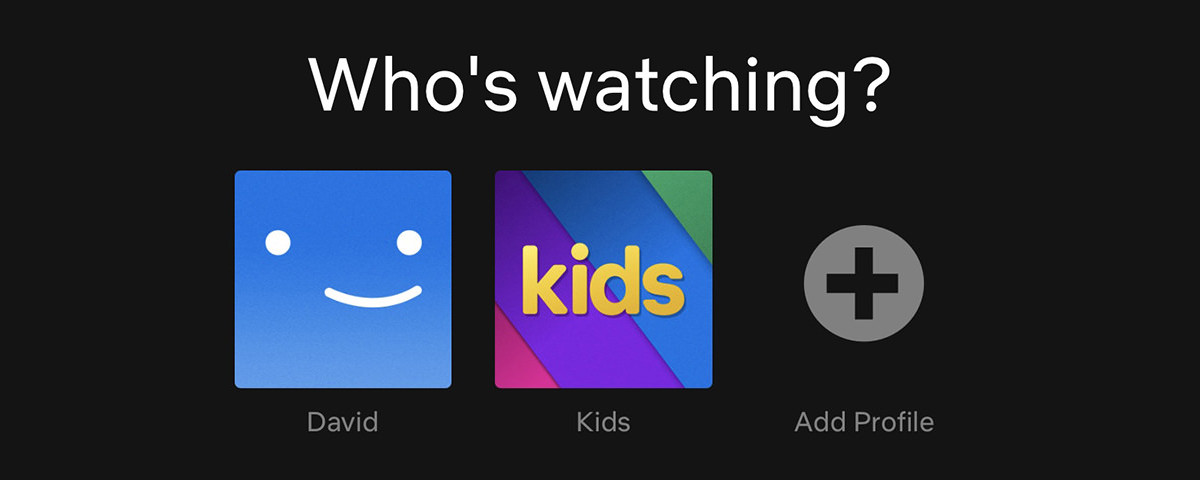 Netflix is asking WHO'S WATCHING? DAVID? KIDS? ADD PROFILE!