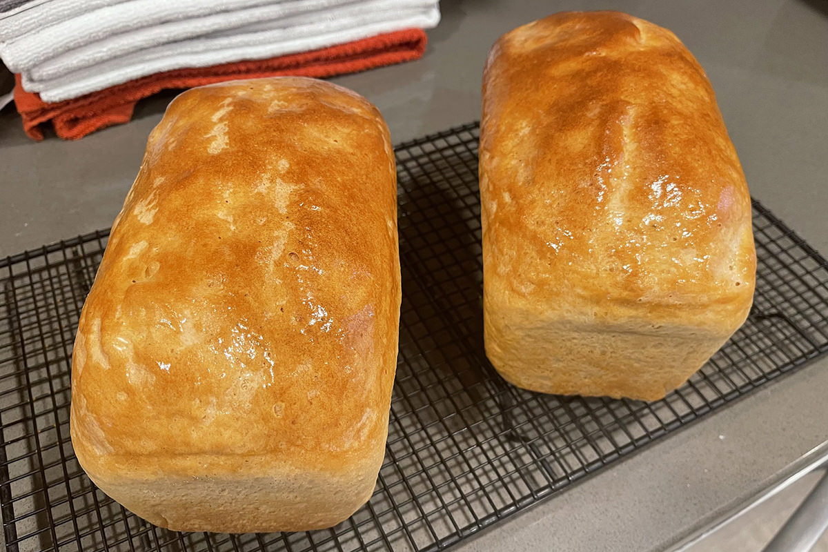 My baked SourJo bread looking delicious.