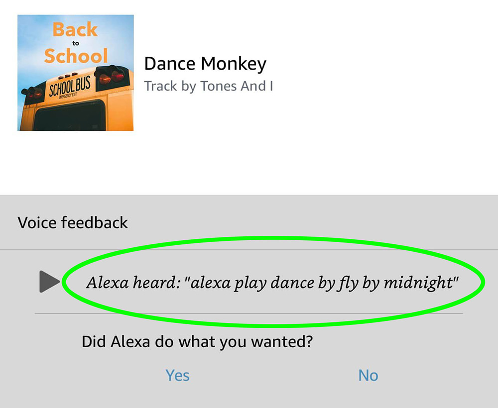 Alexa heard 'Play Dance by Fly by Midnight'