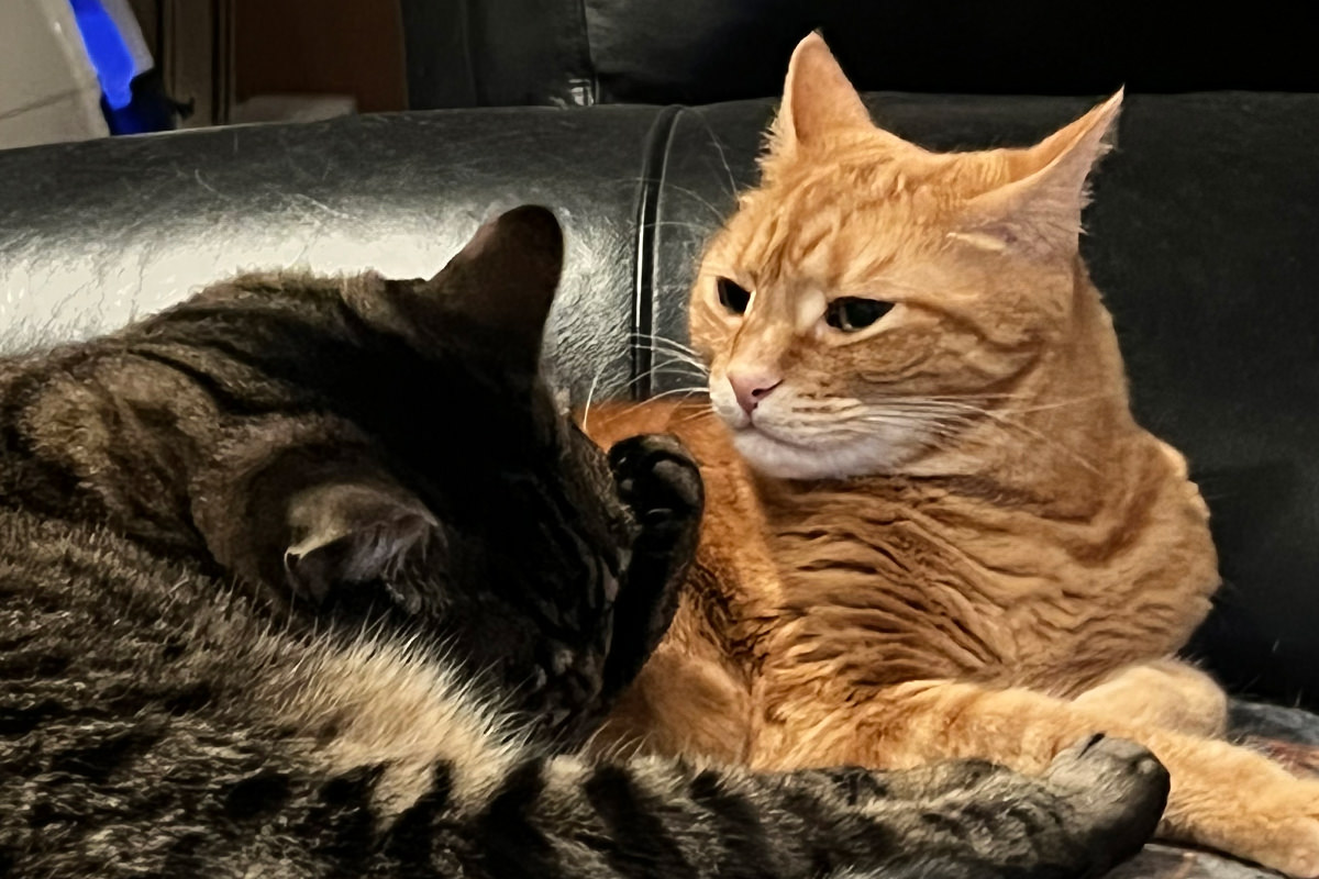 Jenny is mad that Jake invades her space.