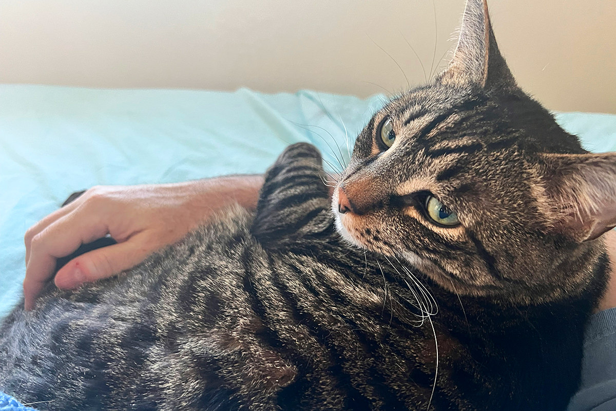 Jake in my arm.