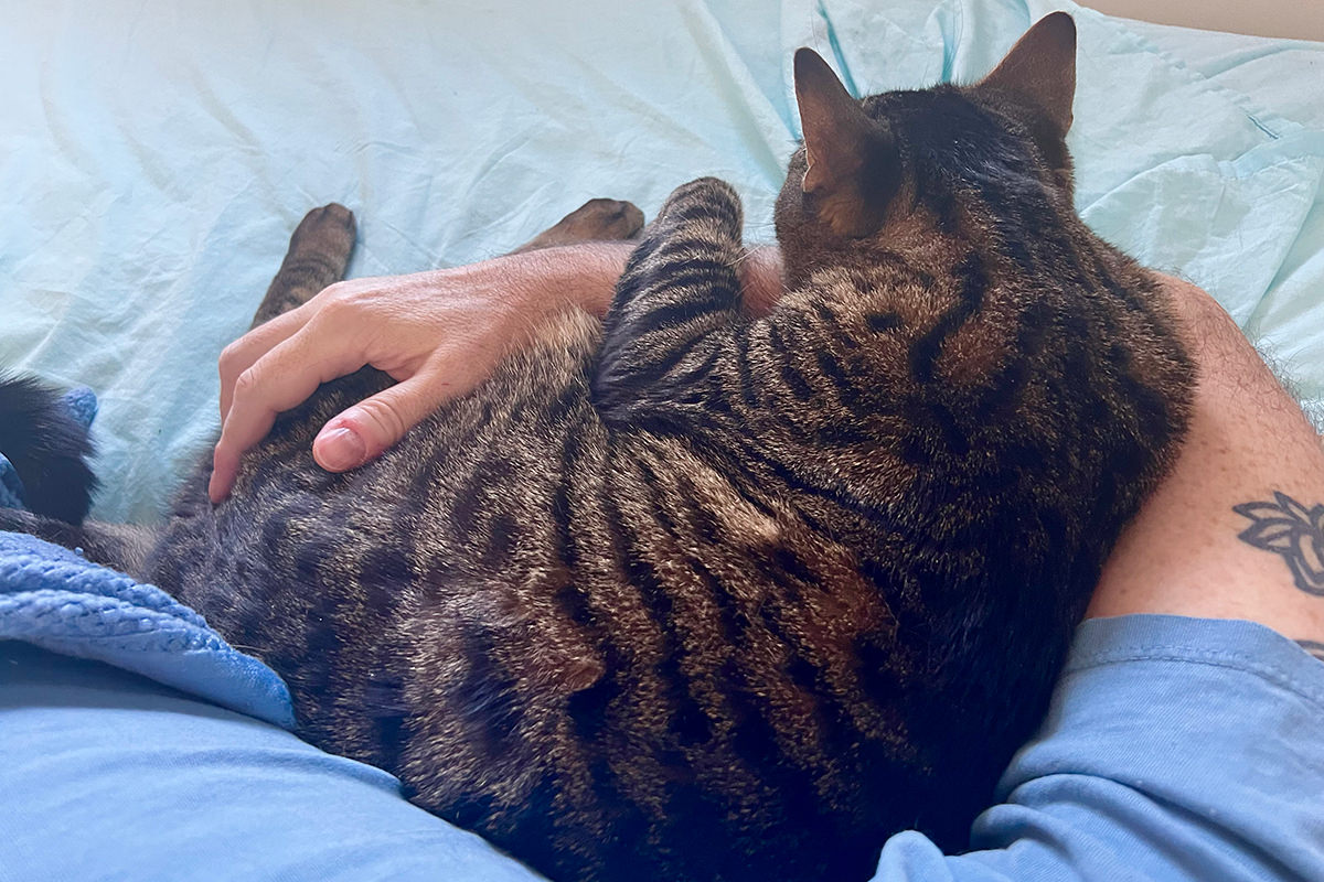 Jake asleep in my arm.
