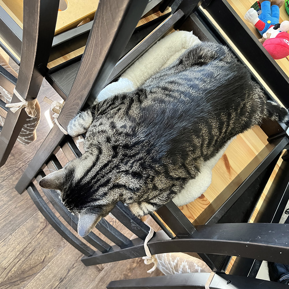 Jake in a chair looking down at the floor.