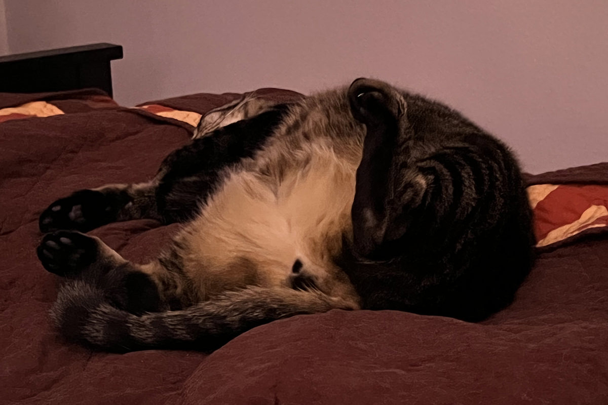 Jake passed out spread-eagle on his back on my bed.