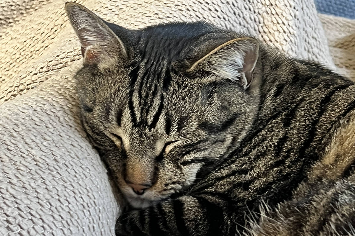 Jake smooshing against my legs!