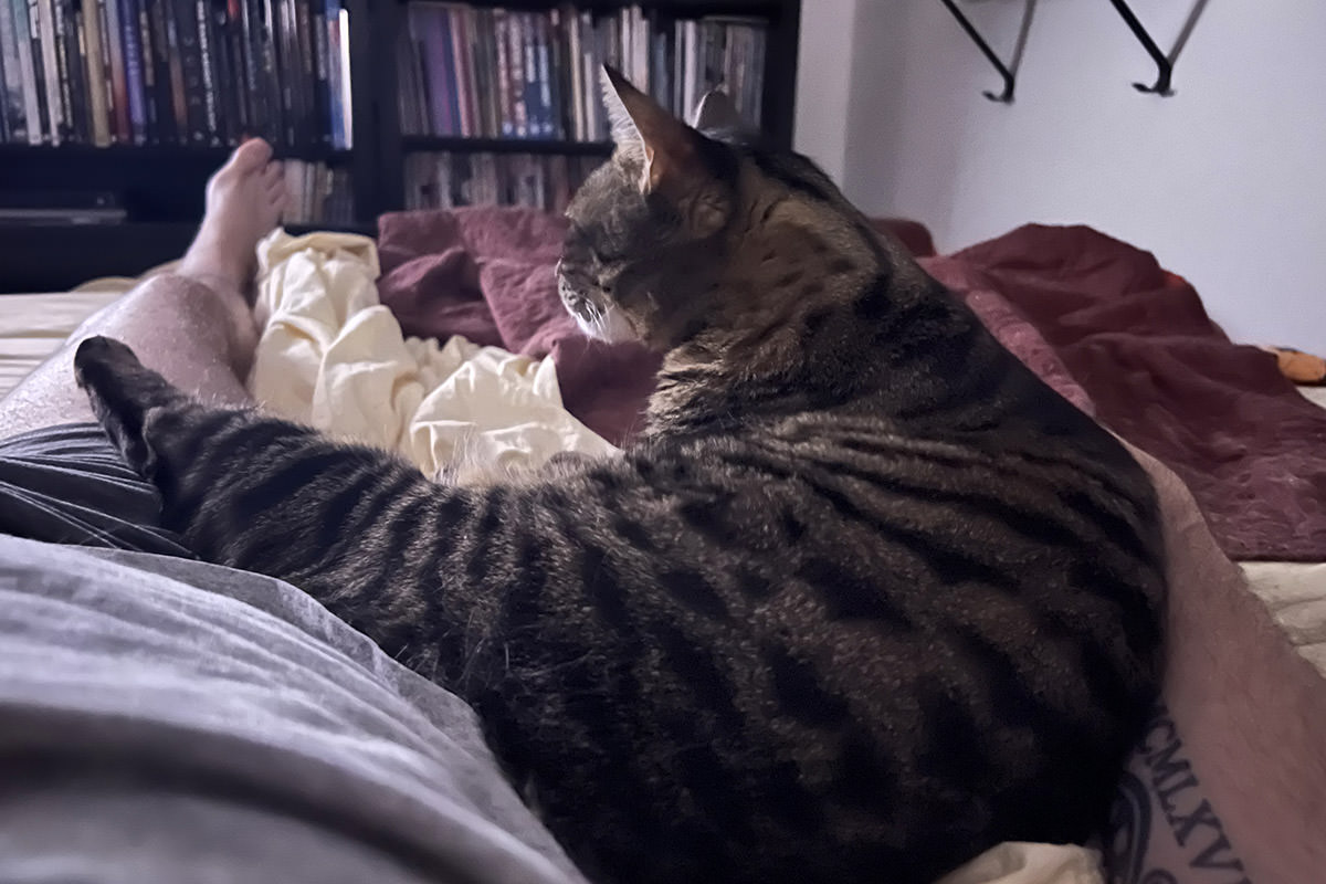 Jake watching TV with me.