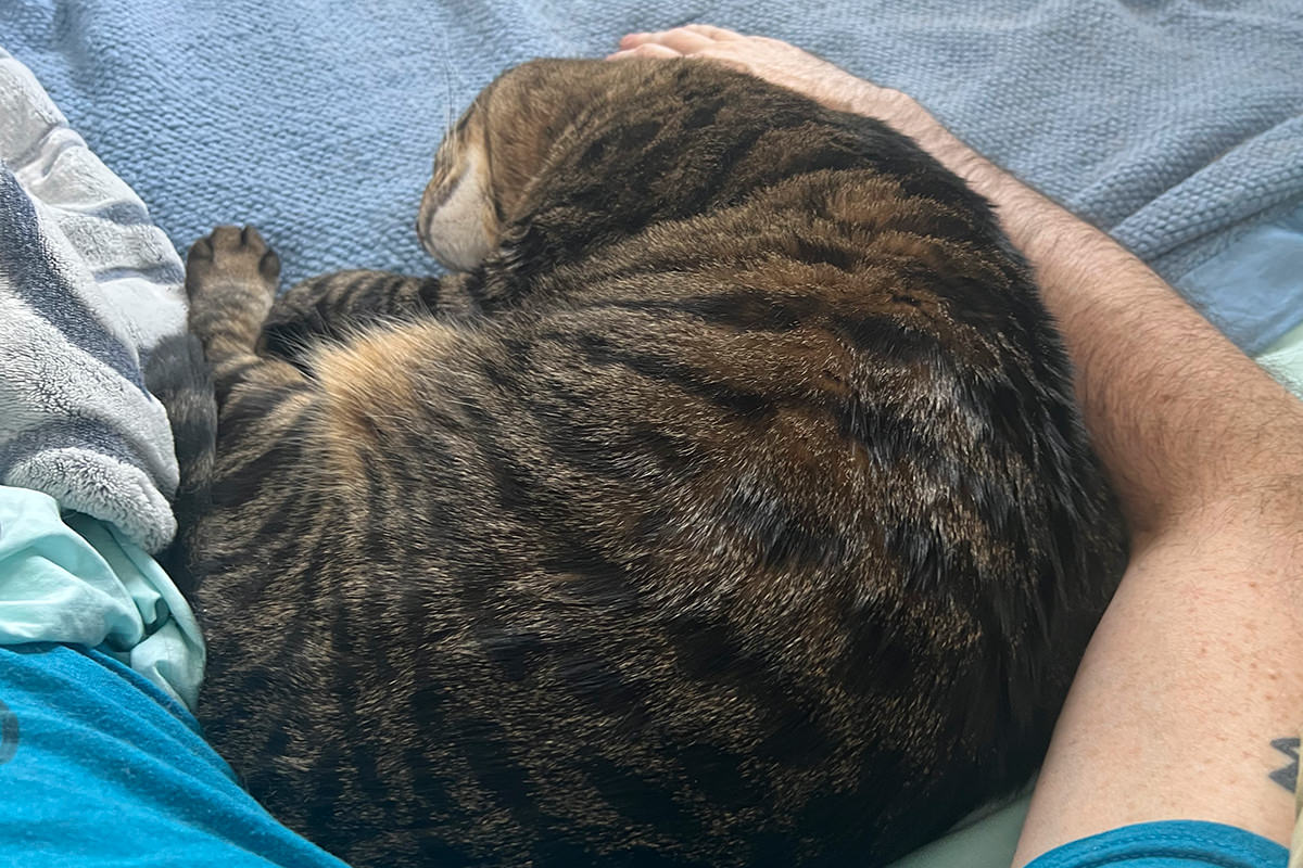 Jake curled up asleep.