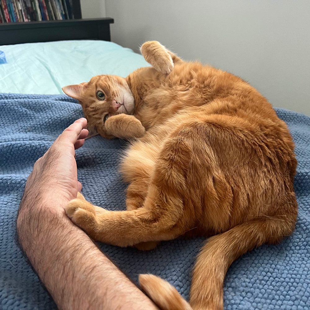 Jenny kicks my hand away from her belly.