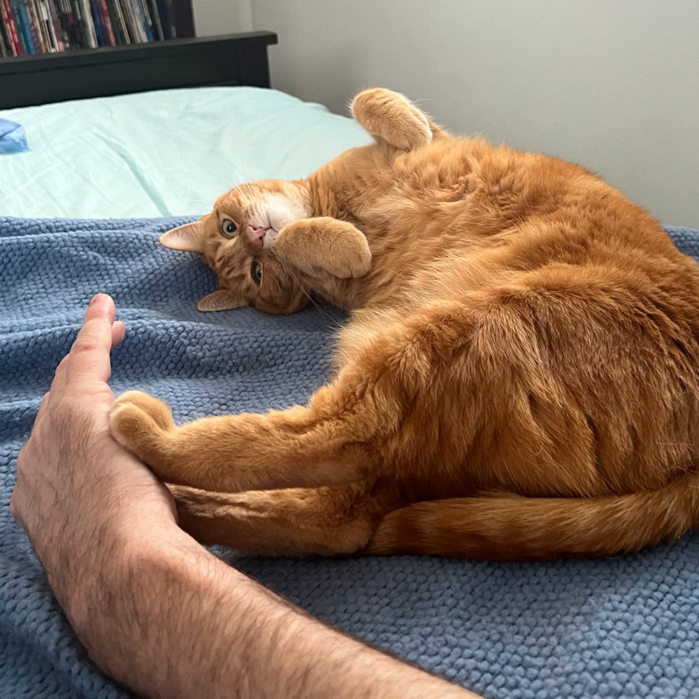 Jenny kicks my hand away from her belly.