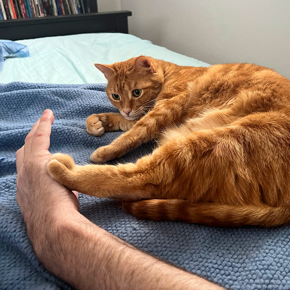 Jenny kicks my hand away from her belly.