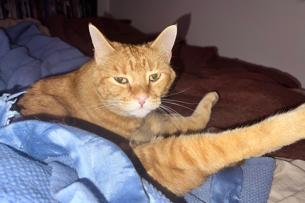Jenny glaring at me while her leg is still suspended in mid-air.