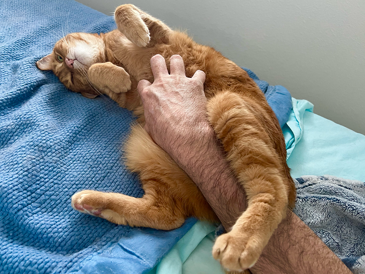 Jenny getting a massage.
